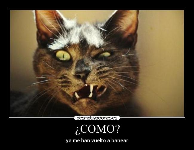 ¿COMO? -