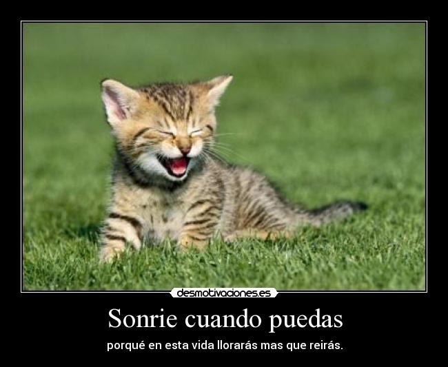Sonrie cuando puedas - 