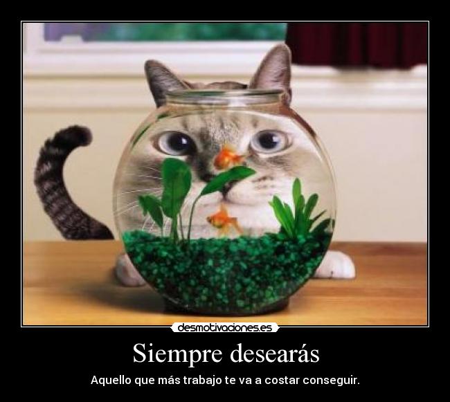 carteles papapitufo desmotivaciones