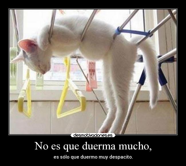 No es que duerma mucho, - es sólo que duermo muy despacito.