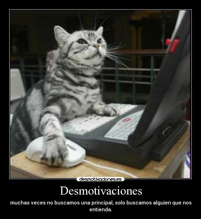 Desmotivaciones - muchas veces no buscamos una principal, solo buscamos alguien que nos entienda.