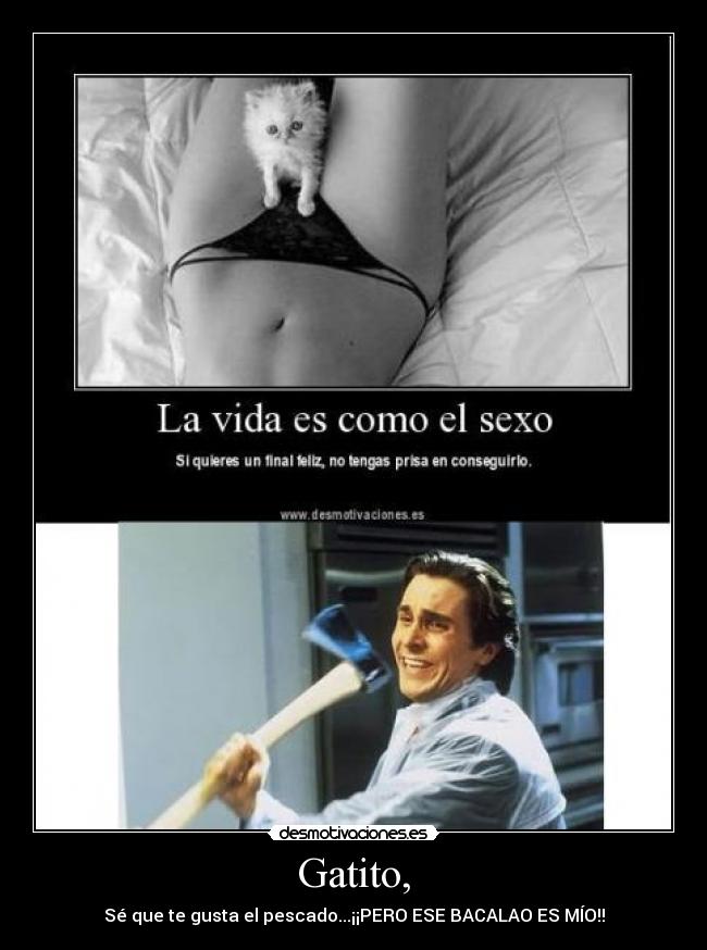 Gatito, - Sé que te gusta el pescado...¡¡PERO ESE BACALAO ES MÍO!!