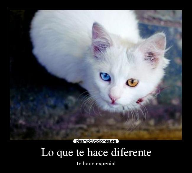 Lo que te hace diferente -