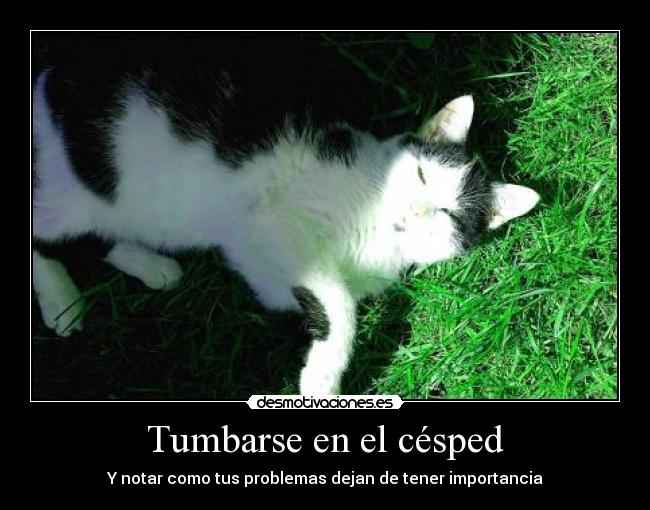 Tumbarse en el césped - Y notar como tus problemas dejan de tener importancia