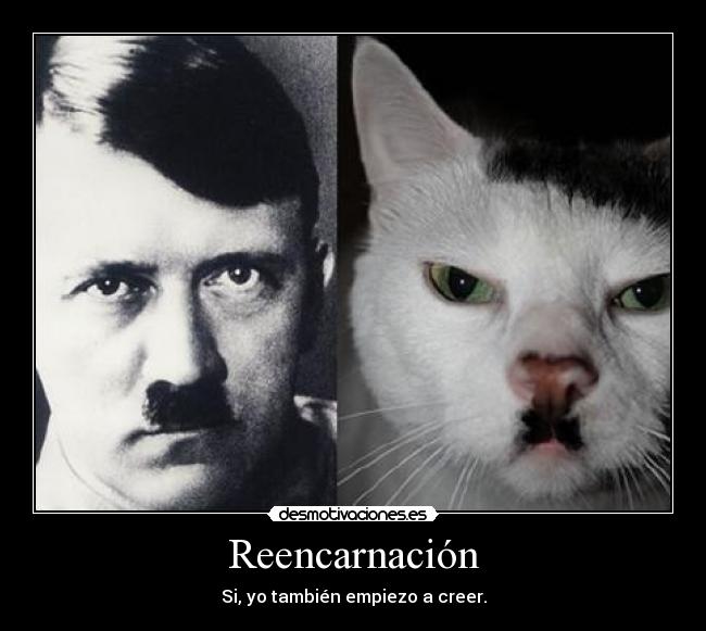 Reencarnación -