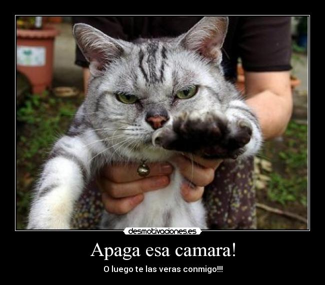Apaga esa camara! - O luego te las veras conmigo!!!