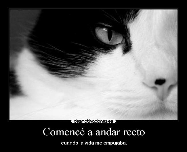 carteles frase braivel aprender vida todo son similitudes desmotivaciones