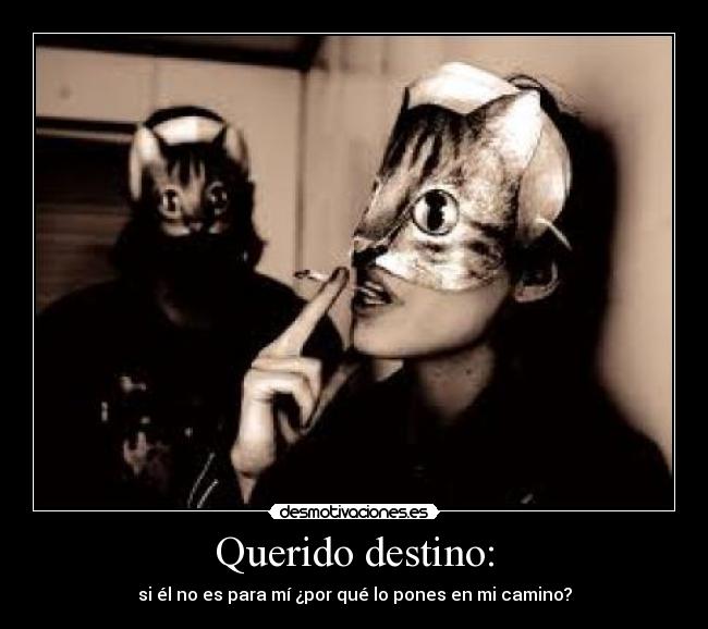 Querido destino: - si él no es para mí ¿por qué lo pones en mi camino?