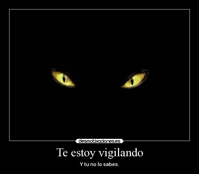 carteles vigilar desmotivaciones