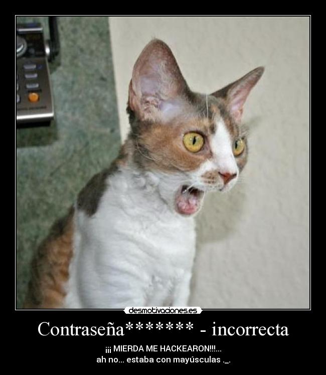 Contraseña******* - incorrecta - ¡¡¡ MIERDA ME HACKEARON!!!...
ah no... estaba con mayúsculas ._.