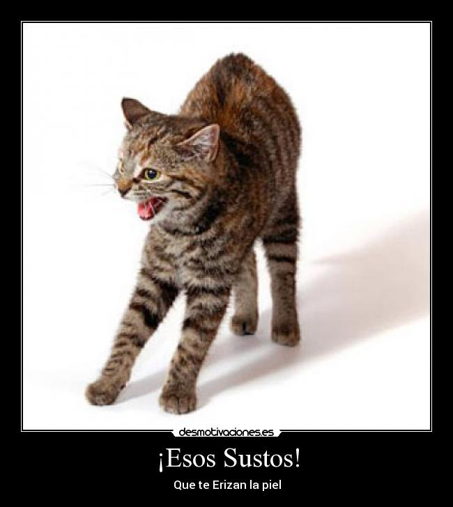 ¡Esos Sustos! -