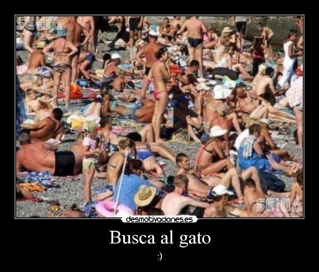 Busca al gato -