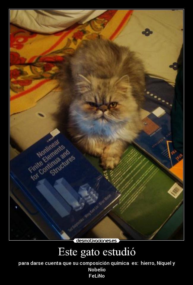 Este gato estudió - para darse cuenta que su composición química  es:  hierro, Níquel y Nobelio
FeLiNo