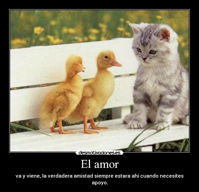 El amor - va y viene, la verdadera amistad siempre estara ahi cuando necesites apoyo.