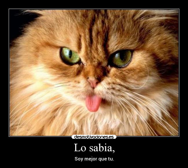 Lo sabia, - Soy mejor que tu.