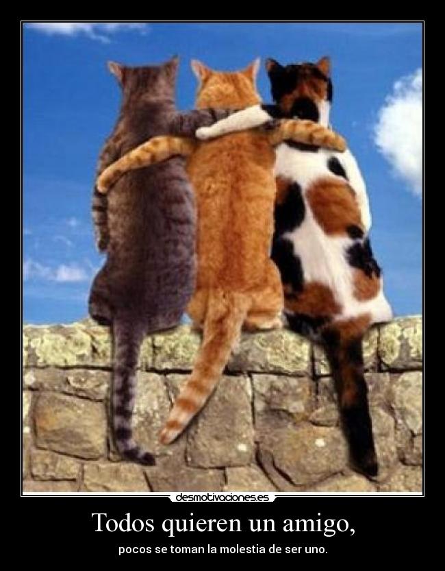 Todos quieren un amigo, -