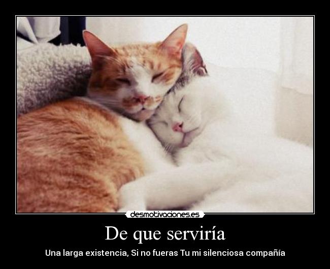 carteles diaztrid desmotivaciones