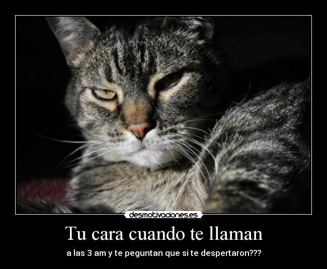 Tu cara cuando te llaman - 