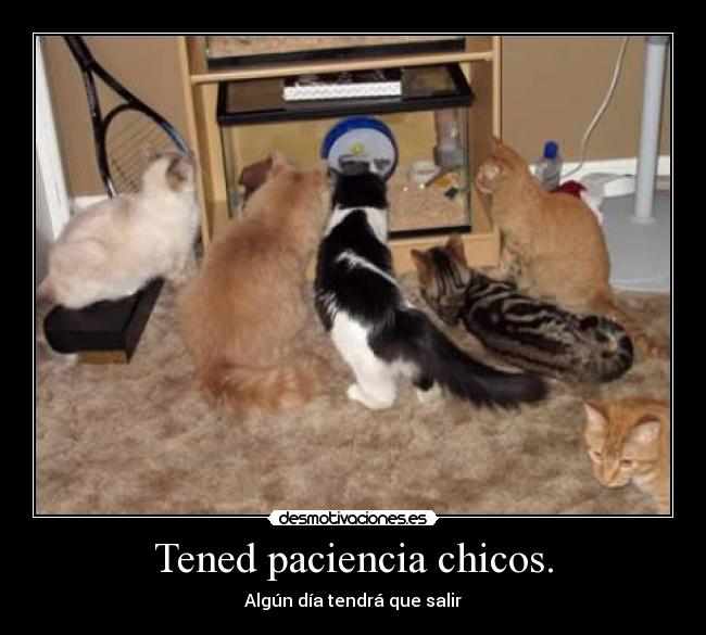 Tened paciencia chicos. -