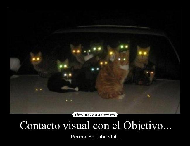 Contacto visual con el Objetivo... -