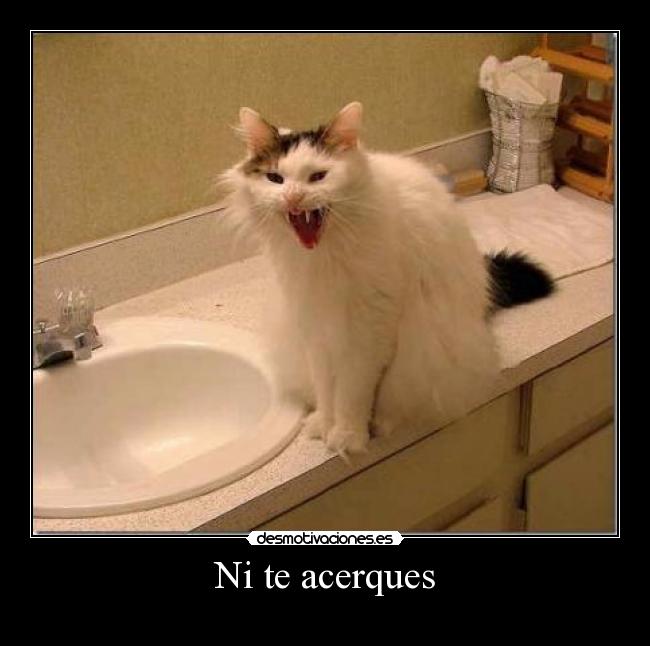 Ni te acerques - 