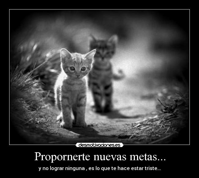 Imagenes Nuevas Metas | propornerte nuevas metas desmotivaciones Imagenes Nuevas Metas | propornerte nuevas metas desmotivaciones