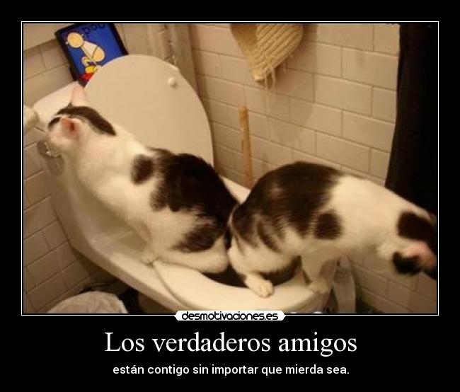 Los verdaderos amigos -