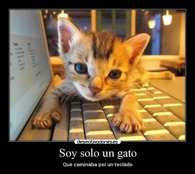 Soy solo un gato - Que caminaba por un teclado