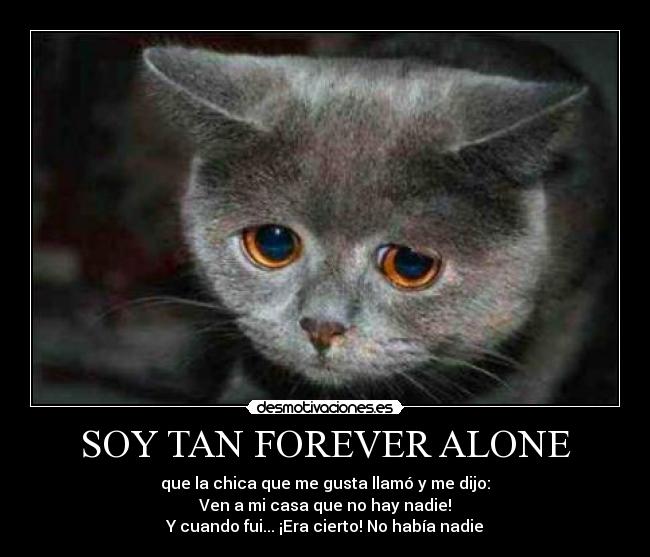 SOY TAN FOREVER ALONE - que la chica que me gusta llamó y me dijo:
Ven a mi casa que no hay nadie!
Y cuando fui... ¡Era cierto! No había nadie