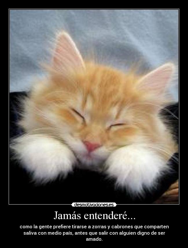 Jamás entenderé... - como la gente prefiere tirarse a zorras y cabrones que comparten
saliva con medio país, antes que salir con alguien digno de ser
amado.