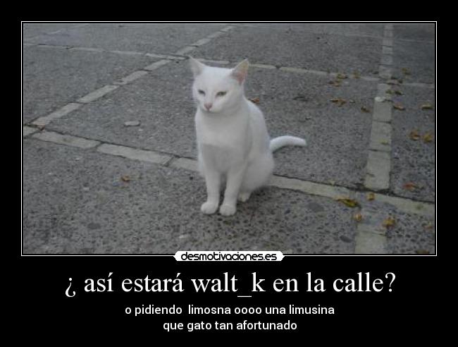 carteles abuelito jeje opi quiu dabliu desmotivaciones