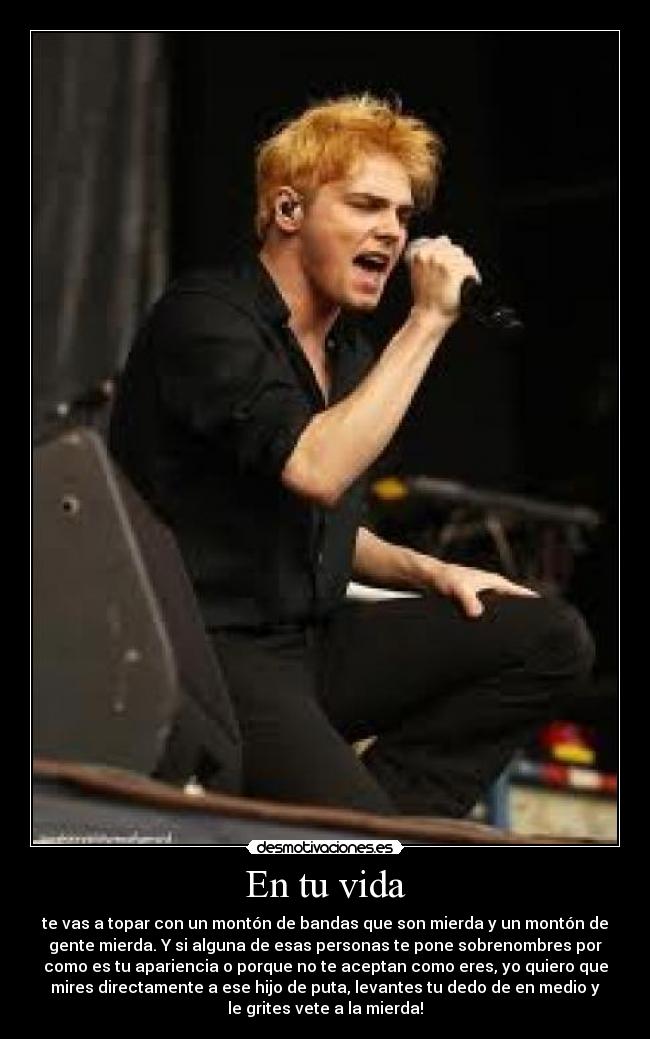 En tu vida - te vas a topar con un montón de bandas que son mierda y un montón de
gente mierda. Y si alguna de esas personas te pone sobrenombres por
como es tu apariencia o porque no te aceptan como eres, yo quiero que
mires directamente a ese hijo de puta, levantes tu dedo de en medio y
le grites vete a la mierda!