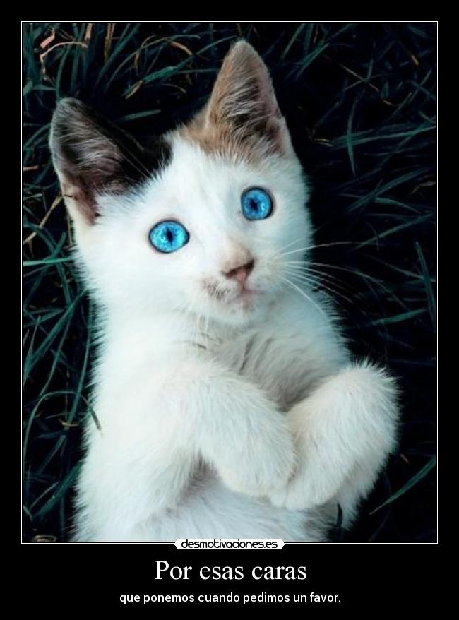 Por esas caras - que ponemos cuando pedimos un favor.