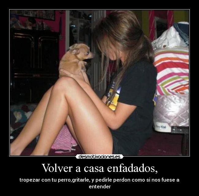 Volver a casa enfadados, - 