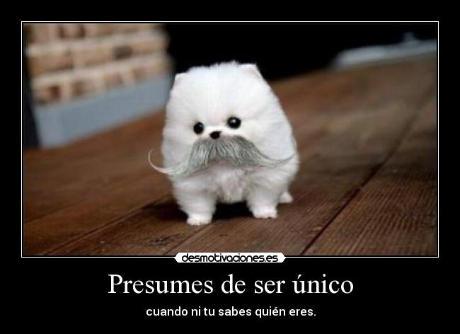 Presumes de ser único - cuando ni tu sabes quién eres.