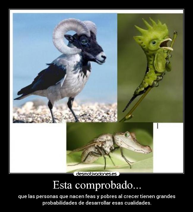 Esta comprobado... - que las personas que nacen feas y pobres al crecer tienen grandes
probabilidades de desarrollar esas cualidades.
