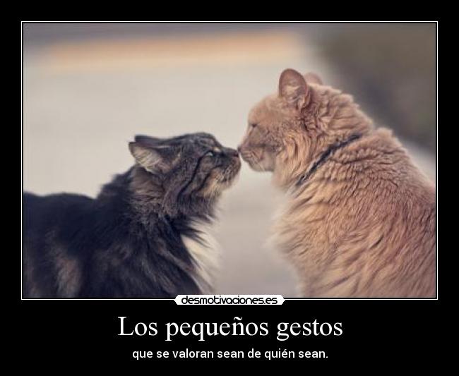 Los pequeños gestos - que se valoran sean de quién sean.