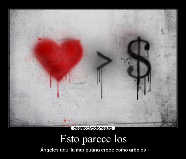 Esto parece los - Ángeles aquí la mariguana crece como arboles