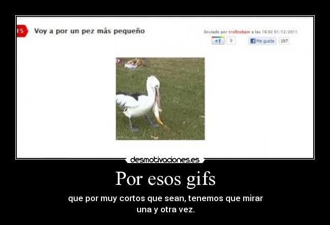 Por esos gifs - que por muy cortos que sean, tenemos que mirar
una y otra vez.