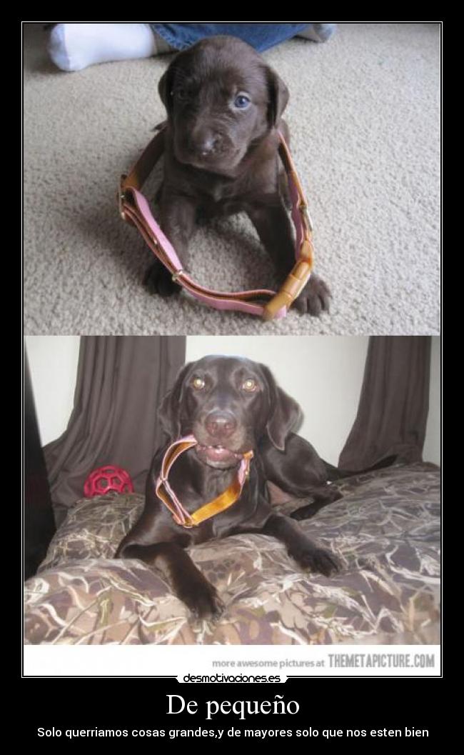 De pequeño - 