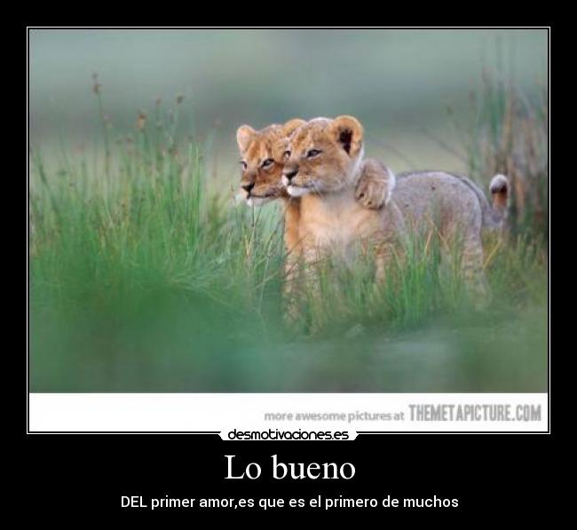 Lo bueno - DEL primer amor,es que es el primero de muchos