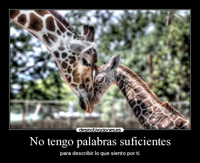No tengo palabras suficientes - 