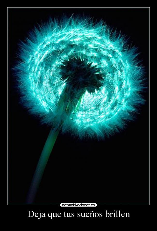 Deja que tus sueños brillen -