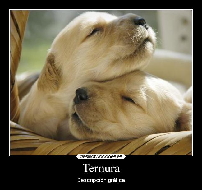 Ternura - Descripción gráfica