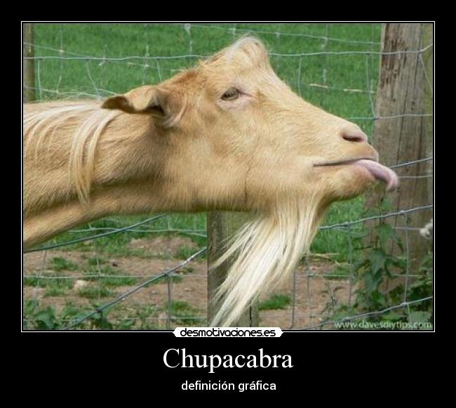 Chupacabra -