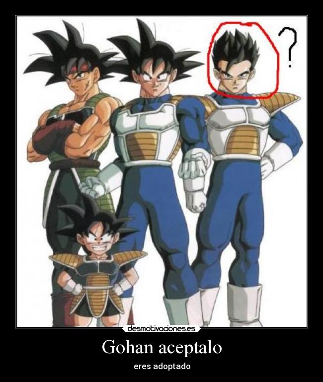 Gohan aceptalo -