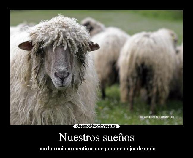 Nuestros sueños -