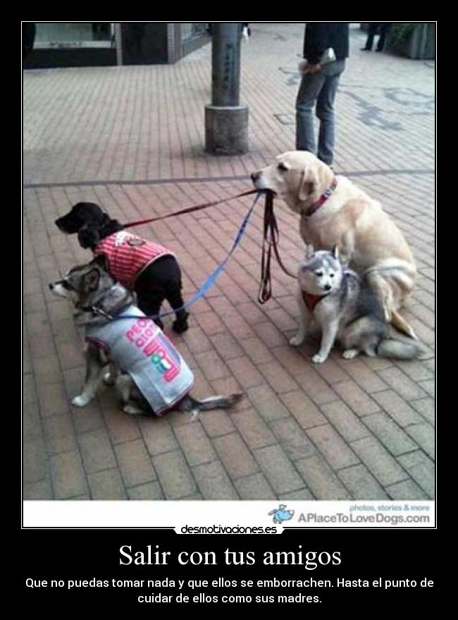 Salir con tus amigos -