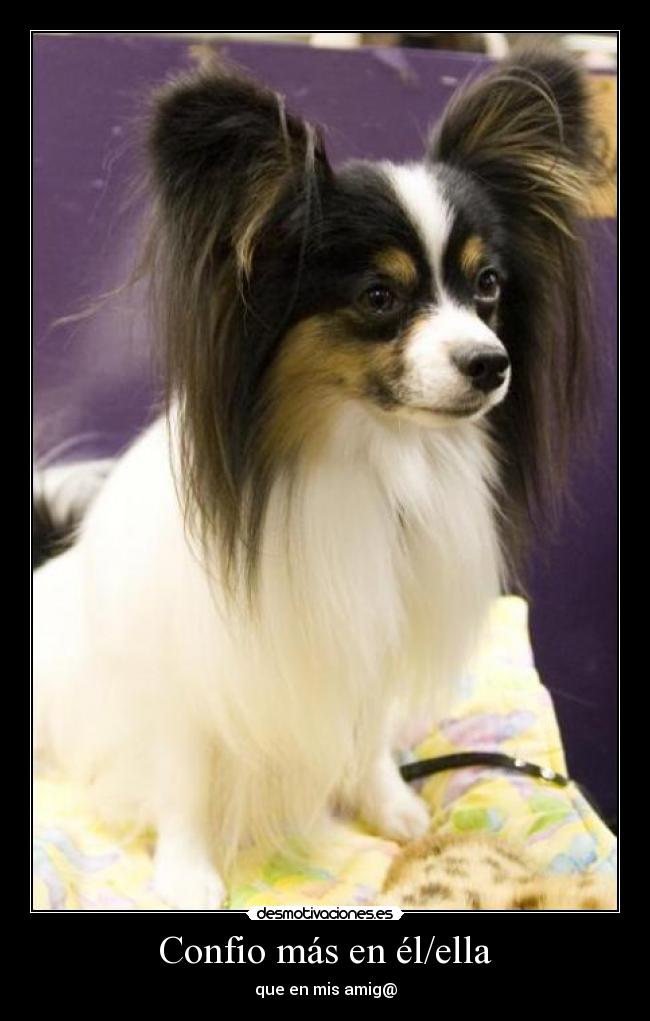 Confio más en él/ella - que en mis amig@