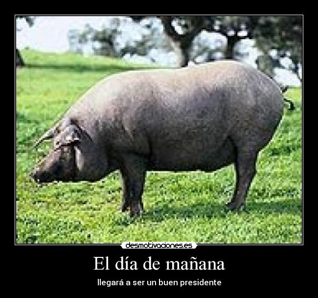El día de mañana - llegará a ser un buen presidente